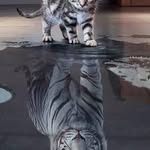 Hera Handa Profile Picture