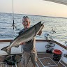 Rick Welhouse Profile Picture