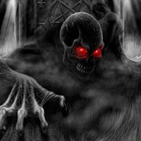 Tony Dewaele Profile Picture