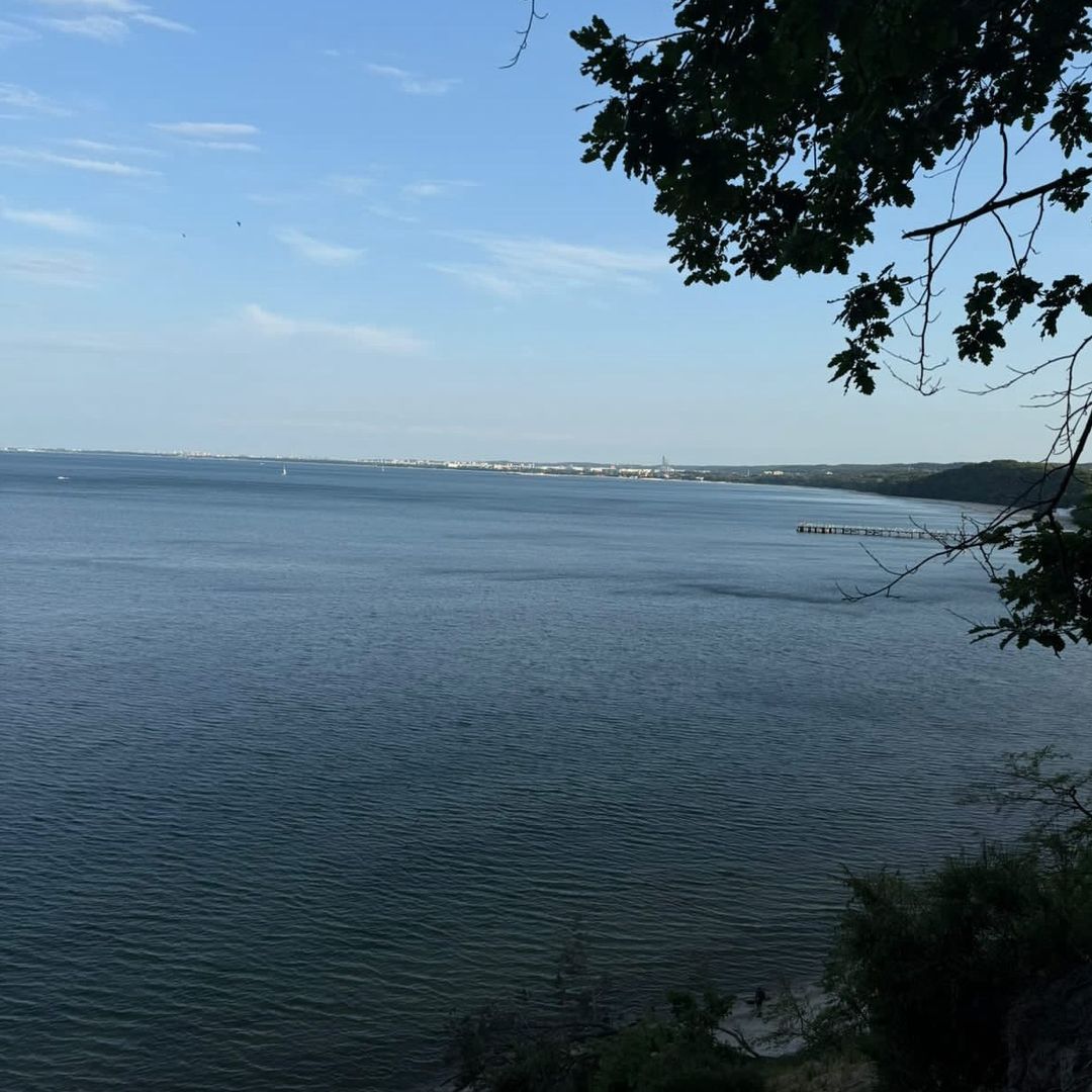 Nedzio Profile Picture