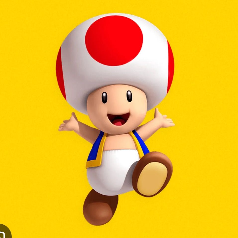 user24389117902117263800 Profile Picture