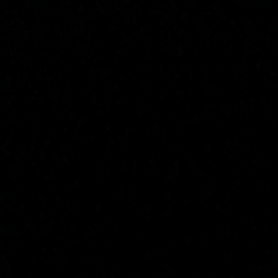 user891bg Profile Picture