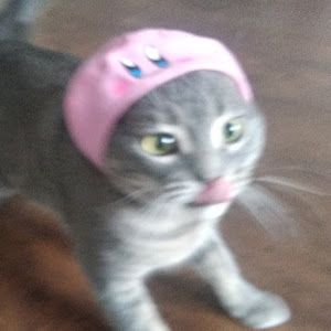 novsemail Profile Picture