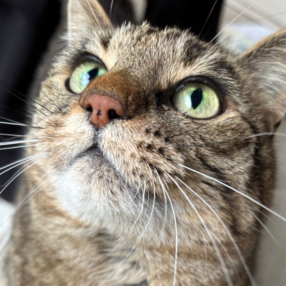 duckduckgoose0 Profile Picture