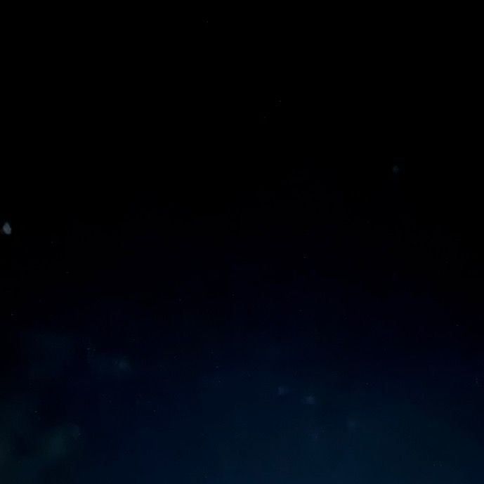 sjsneide Profile Picture