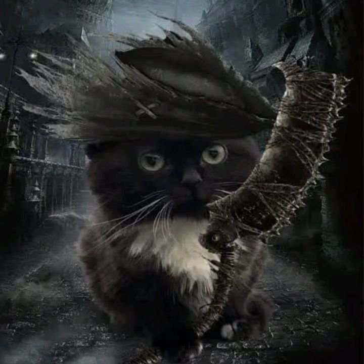 terracotapiepizzaman Profile Picture