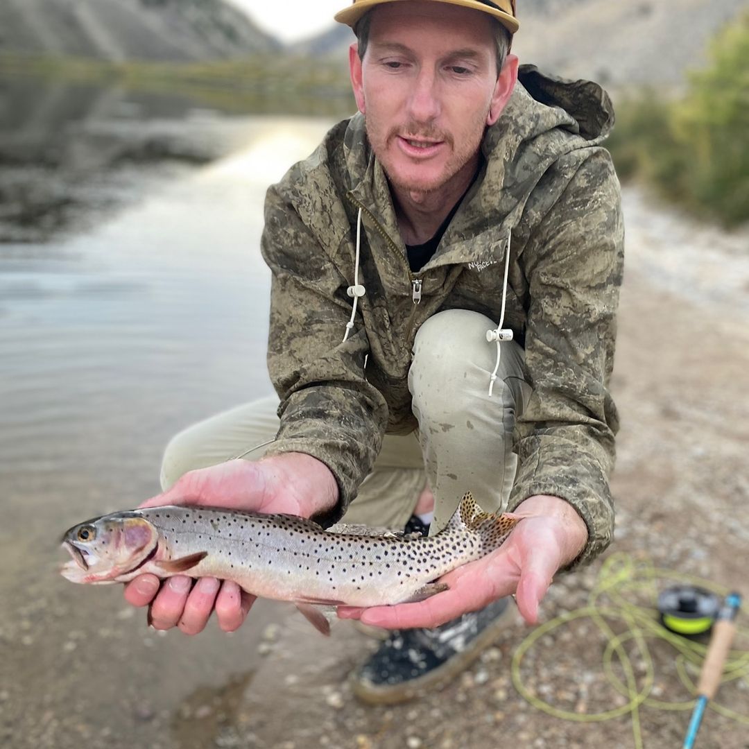 Justin Norton Profile Picture