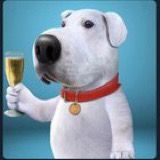 mynewnameisrainman Profile Picture
