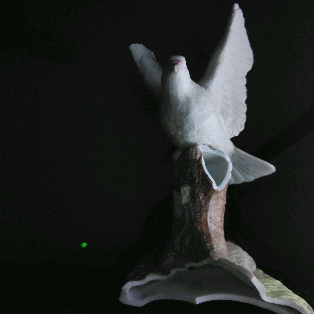 _oreq Profile Picture