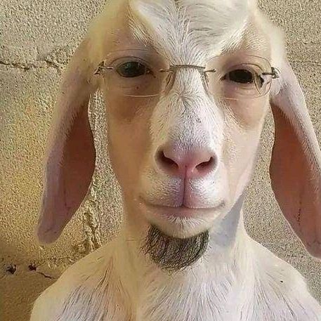 platonchikdox Profile Picture