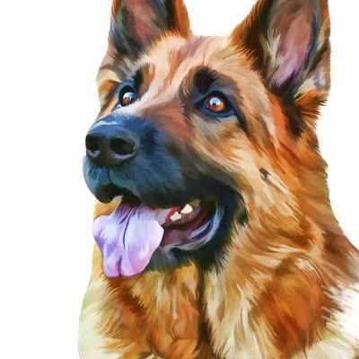jhamil.m7 Profile Picture