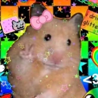 goofyhammy Profile Picture