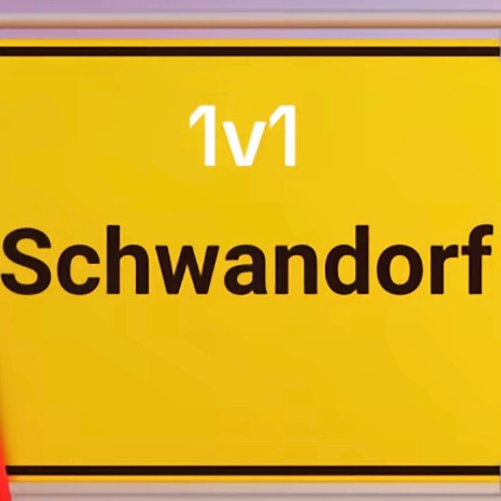 schwandorfship1v1 Profile Picture