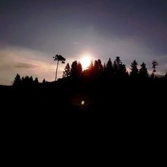 michaelbalsiger54 Profile Picture