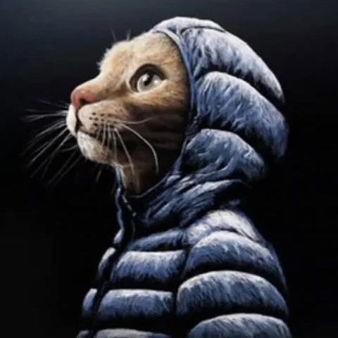 mikeymikeymikeeey Profile Picture