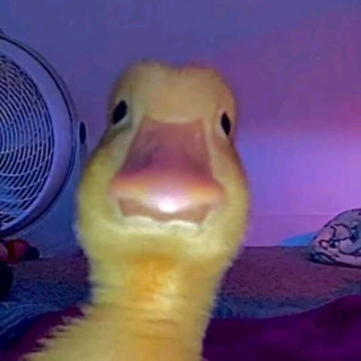 mr.con67 Profile Picture