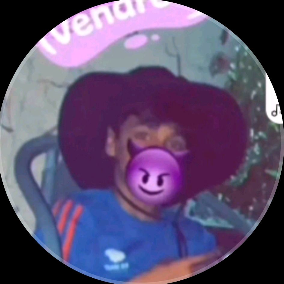 llaflche_du11 Profile Picture