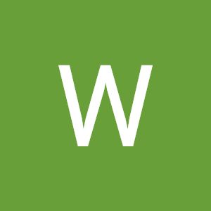 willingtonmontenegro Profile Picture