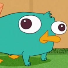 jilliangrossbach Profile Picture
