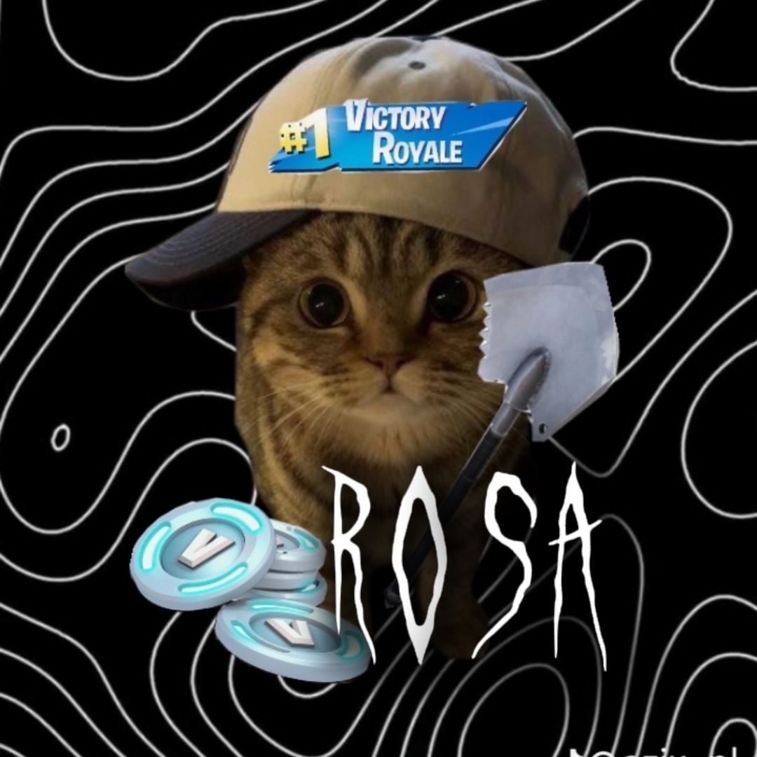 22rosa00 Profile Picture