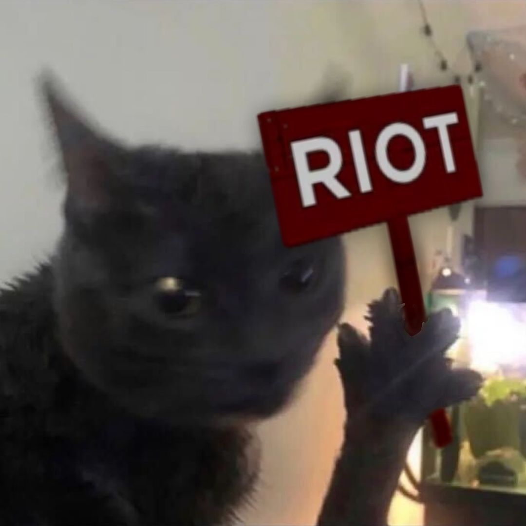 dabloonprotestleader Profile Picture