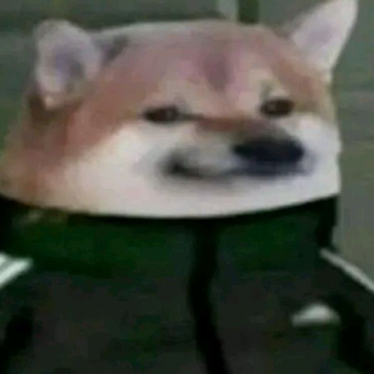 Ich mag memes Profile Picture