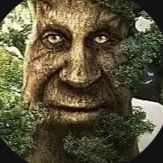 thewhjr Profile Picture