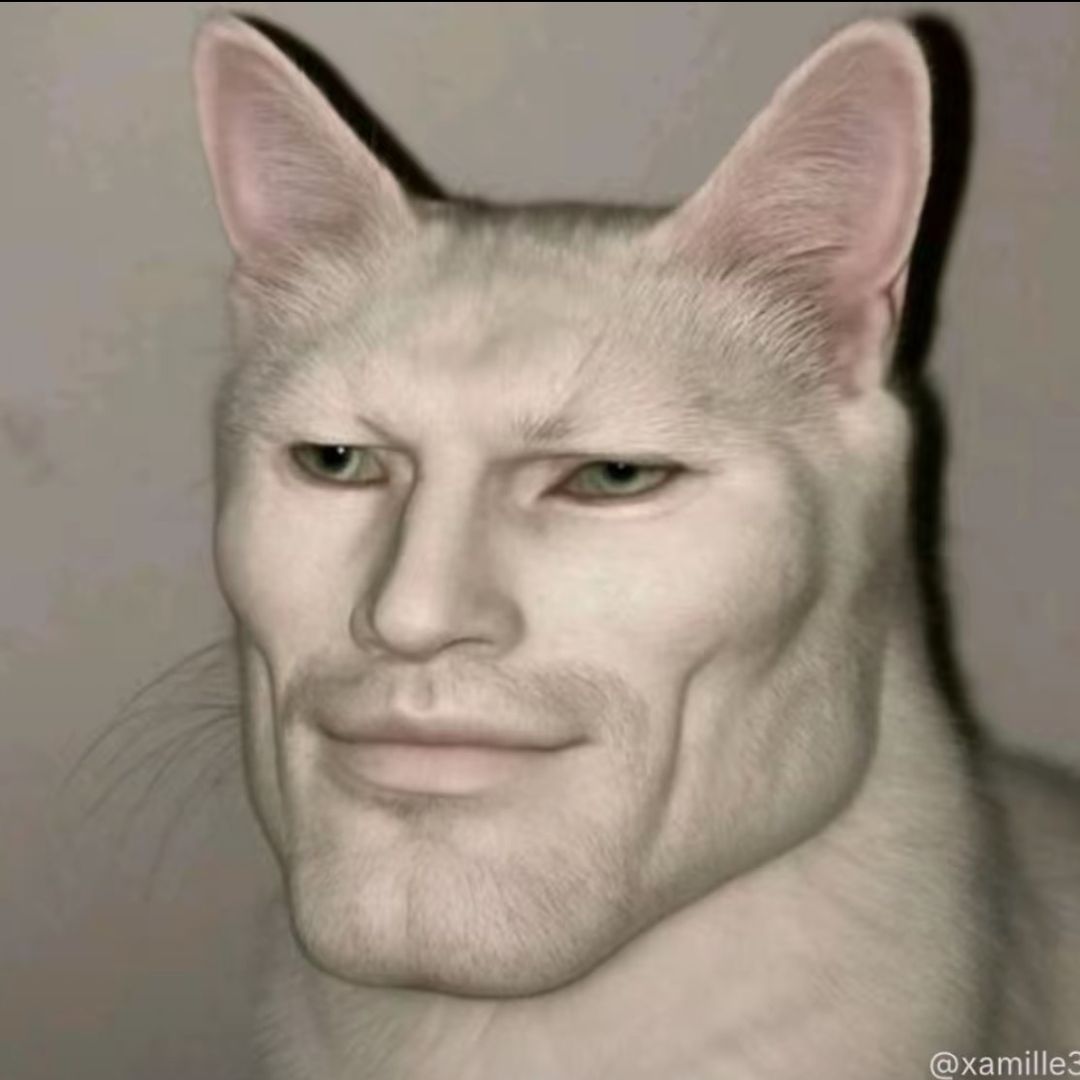 Narvalo sans scrupule Profile Picture
