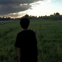 murilovasconcellos Profile Picture