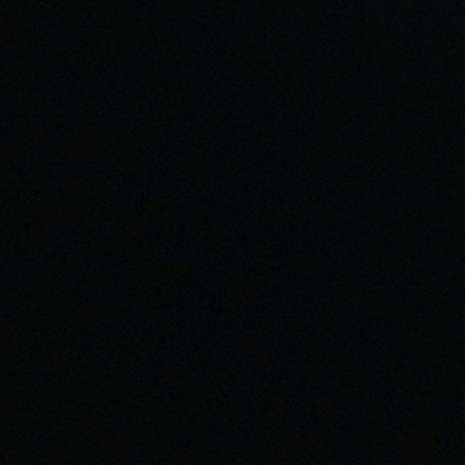 gxldenlie Profile Picture