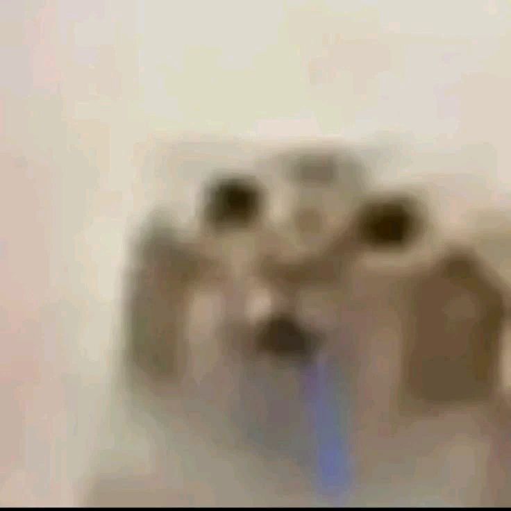 justasillytoast Profile Picture