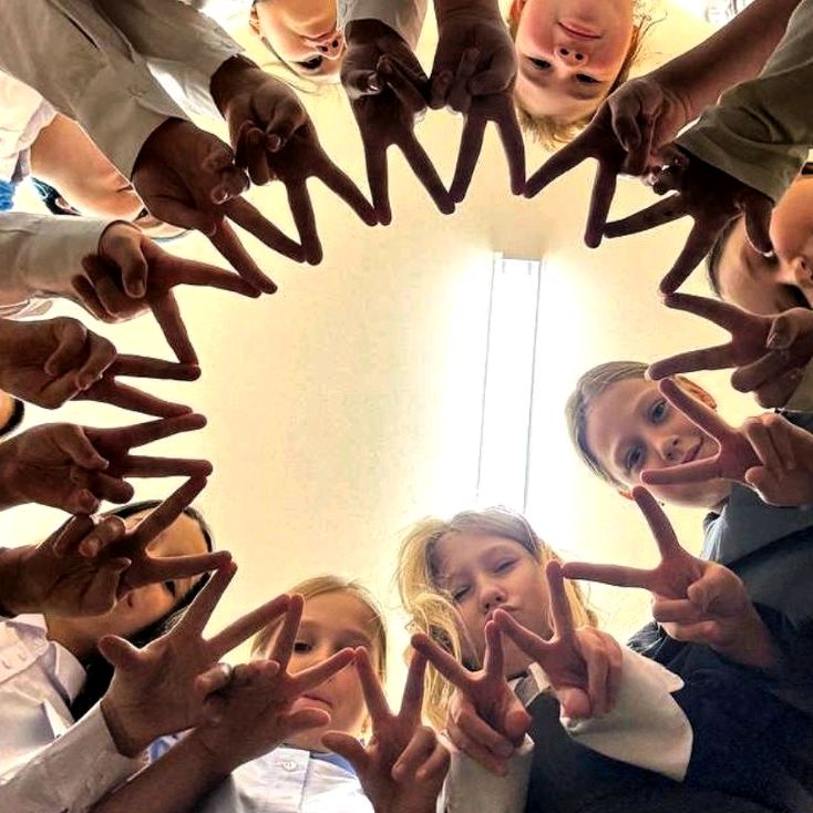 volleybalistikss Profile Picture