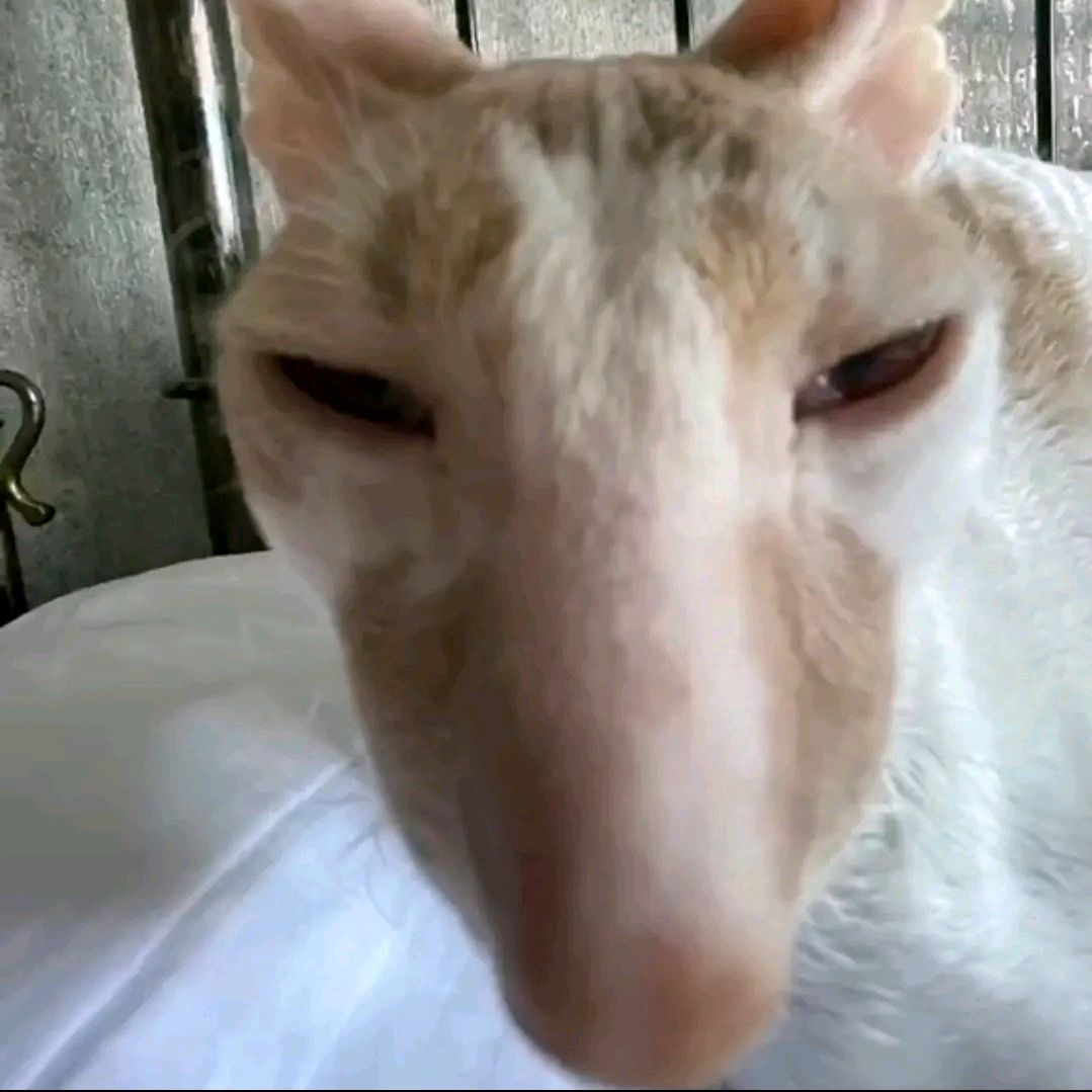 sparksdoing Profile Picture