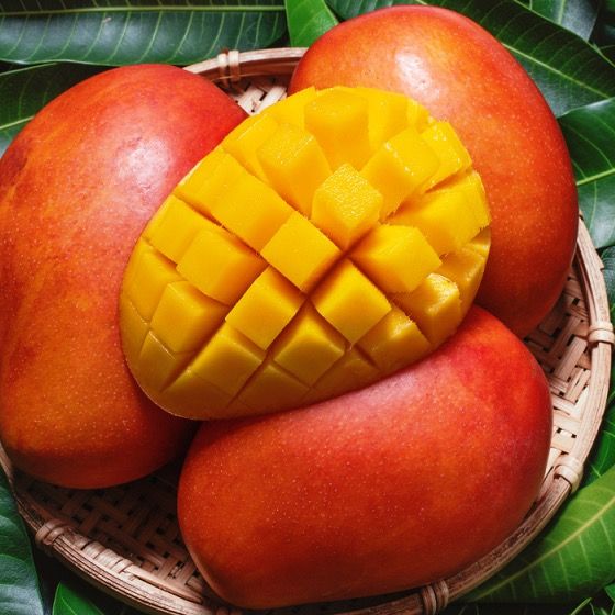 mango.8770 Profile Picture