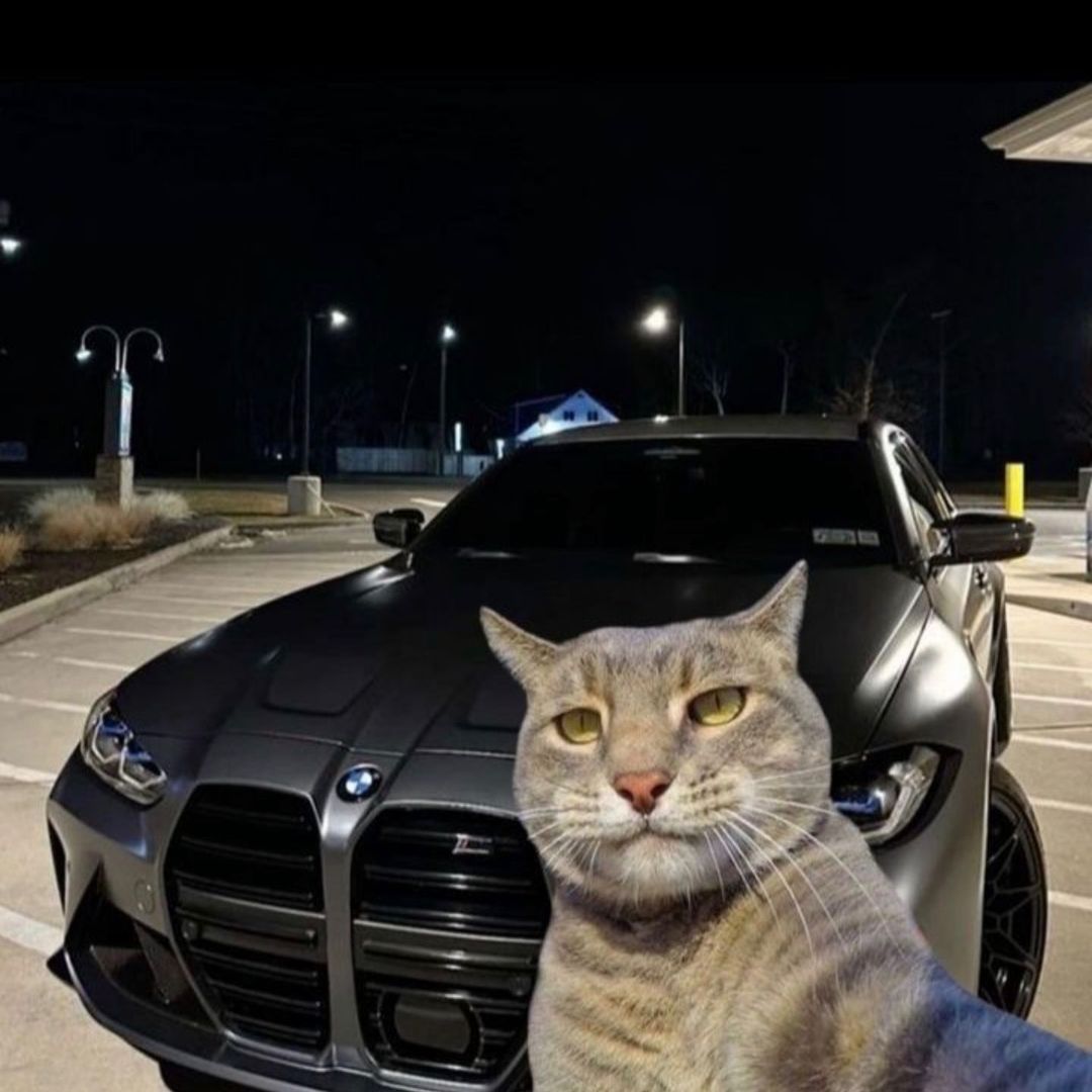 userais85 Profile Picture