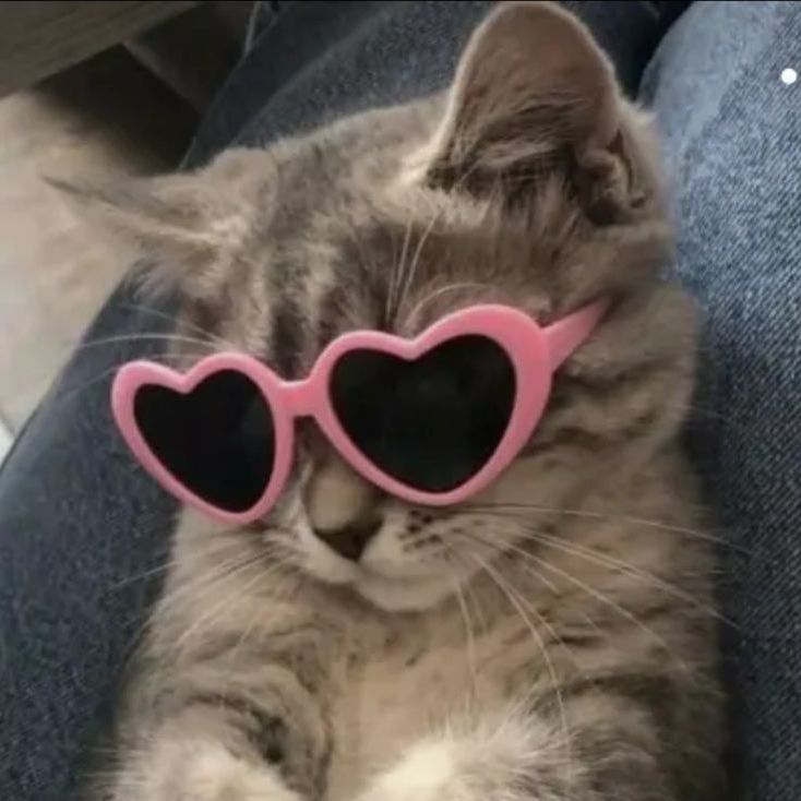 juliafonseca740 Profile Picture