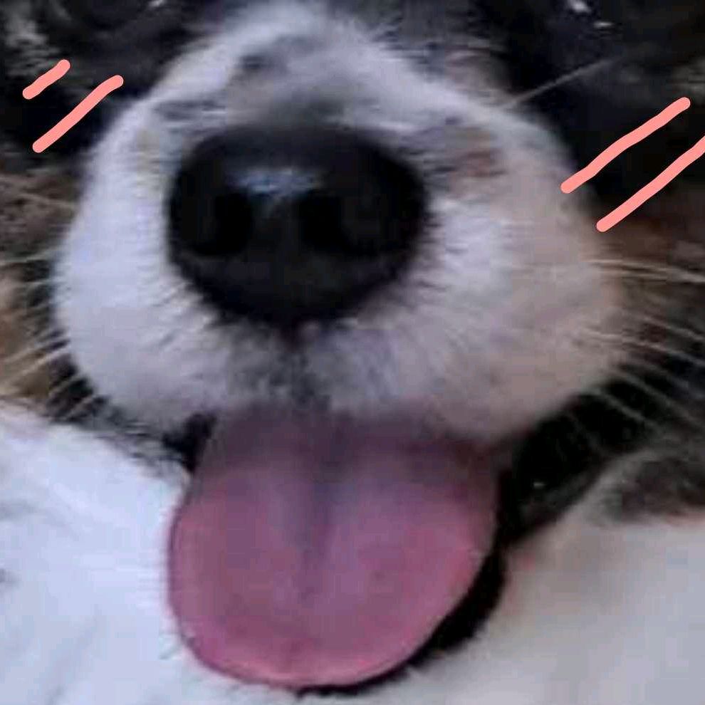 sunpalaikis Profile Picture