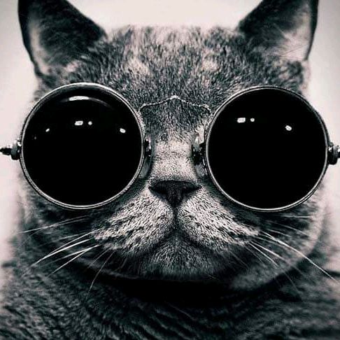 spdrcer21 Profile Picture