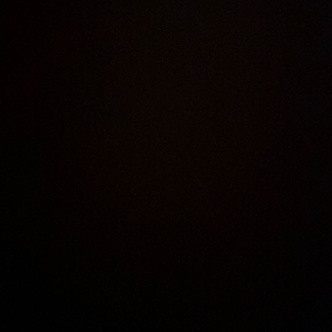 user730123456 Profile Picture